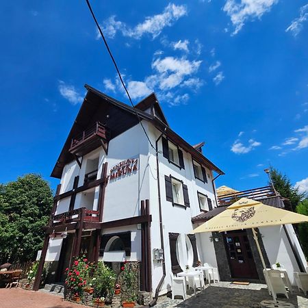 Hotel Pensiunea Miruna Moieciu de Jos Exterior foto