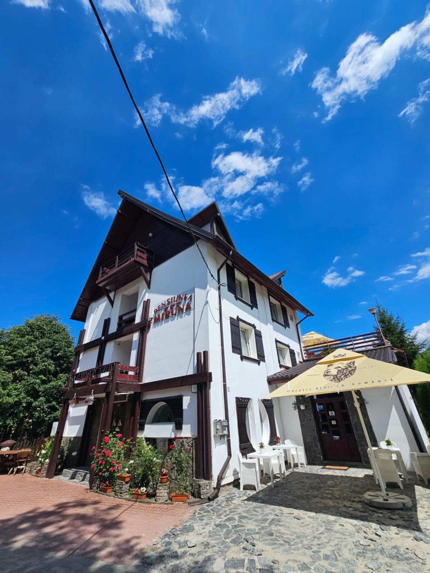 Hotel Pensiunea Miruna Moieciu de Jos Exterior foto